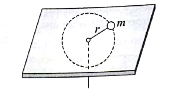 q29.PNG